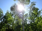 DSC00592.JPG