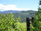 DSC00594.JPG
