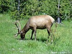 DSC00669.JPG