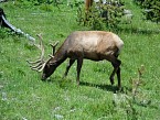 DSC00671.JPG