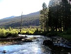 DSC07120.JPG