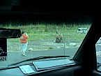 DSC07133.JPG