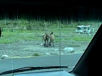 DSC07135.JPG