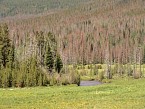 DSC07137.JPG