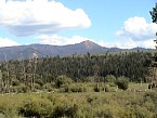 DSC07174.JPG