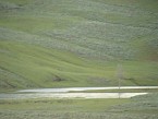 DSC07335.JPG