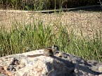 DSC07358.JPG