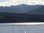 DSC07365.JPG