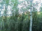 DSC07379.JPG