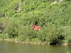 DSC07385.JPG